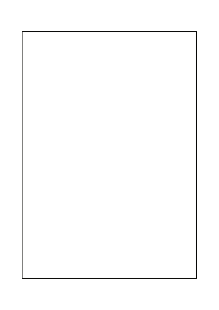 14030049 - Vinyl overlay