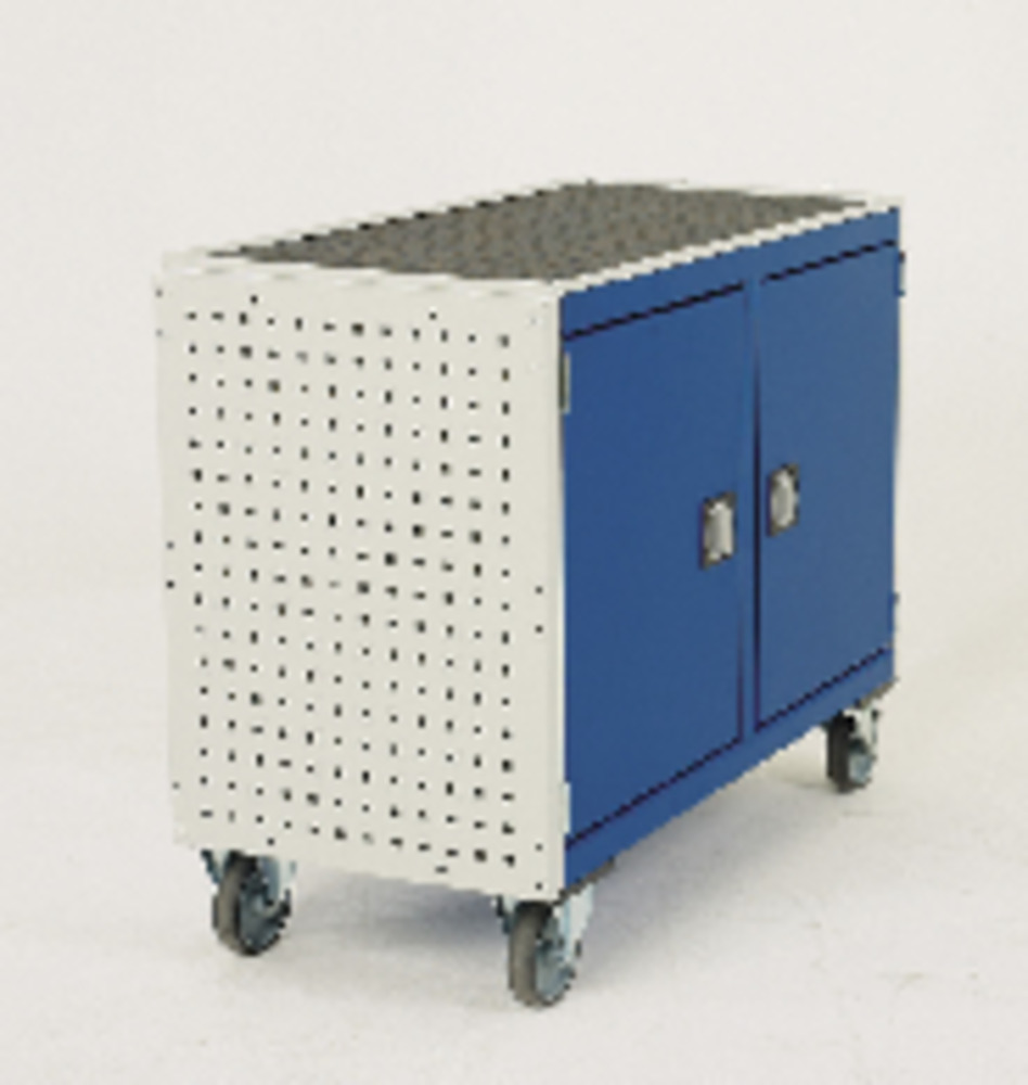 41010119.16V - cubio trolley perfo end panel